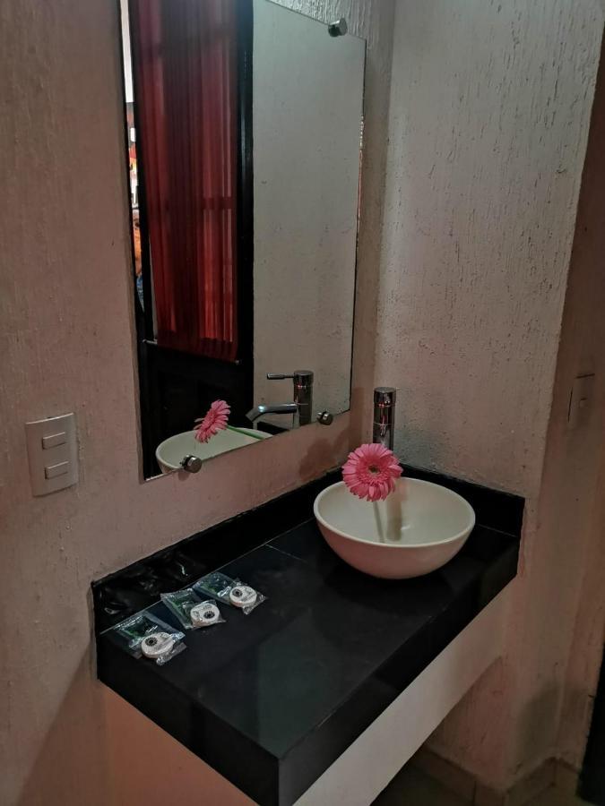 Hotel Jorge Alejandro グアダラハラ エクステリア 写真